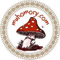 Купить сушеные мухоморы