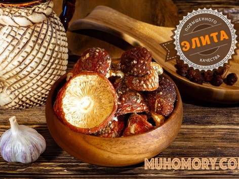 Нераскрывшиеся шляпки мухомора 100 гр